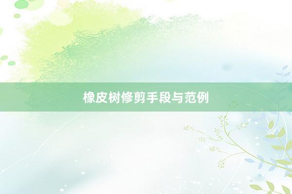 橡皮树修剪手段与范例
