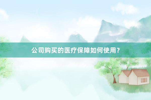 公司购买的医疗保障如何使用？
